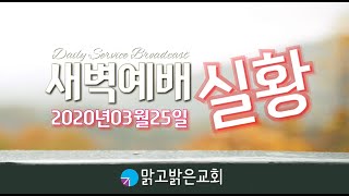 [맑고밝은교회]새벽예배 실황(20200325) (김영진 목사)