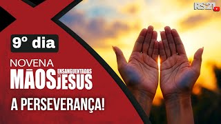 Novena das Mãos Ensanguentadas de Jesus | 9º A Perseverança | Rede Século 21