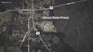 9 inmates at Wilcox State Prison stabbed or slashed during gang violence, GDC confirms