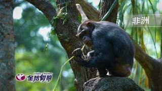 【金怡假期】帶你深度遊世界電視廣告2017