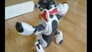 Sony Aibo...running on Mind 2