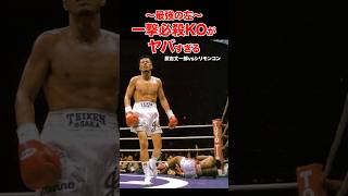 最恐の左で決めた圧巻の一撃必殺KO  #shorts#ko #ボクシング#格闘技