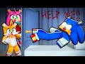 Sonic Gets POSSESSED In Minecraft!