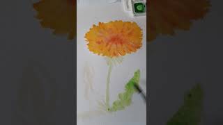 How to draw a flower in watercolor, yellow dandelion