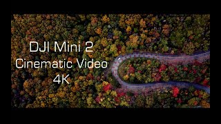 DJI Mini2が欲しくなるビデオ「野呂山の紅葉」