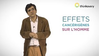 Les effets des perturbateurs endocriniens sur la santé | Do You Spoc