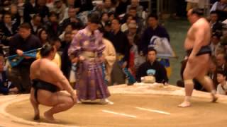 H27.03.11　稀勢の里 ○ 寄り切り ● 宝富士 （大相撲　大阪場所　４日目）