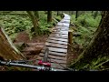 my favourite trail on the north shore