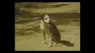 Levi's Haw Haw or Laughing Levi's Commercial "Good Morning World"