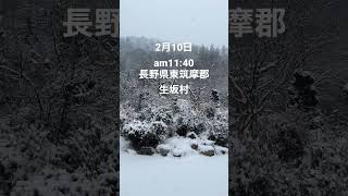 今の降雪状況〜長野県東筑摩郡生坂村