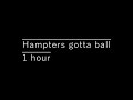 Hampters Gotta Ball (almost) 1 hour  Jakerton new song
