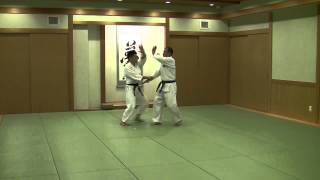 合気道 乱取裏技の形10本　当身技　右_Tomiki Aikido 17 Hon Urawaza Atemi 2