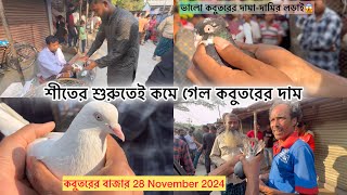 সারদা কবুতর হাটের বর্তমান পরিস্থিতি এবং দাম-দর #কবুতর_কাকা #kobutor_kaka