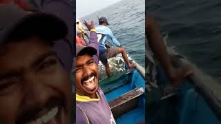 ##അയില#ചാകര#1000 KG മീൻ #ചെല്ലാനം\u0026\u0026FISHING HARBER✌️✌️