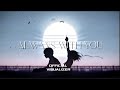 ZXN - CHASING ECHOES ( Official Visualizer )