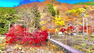 福知渓谷　紅葉　兵庫県　1