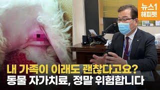 정말 이래도 괜찮다고요? 반려동물 자가치료(진료)의 위험성 | dog, cat