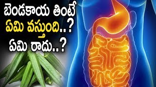 Ladies Finger Benefits || బెండ‌కాయ తింటే ఏమి వ‌స్తుంది..? ఏమి రాదు..?