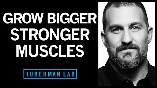 Science of Muscle Growth, Increasing Strength & Muscular Recovery | Huberman Lab Podcast #22