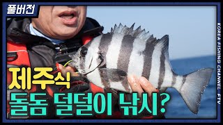 제주도에서 손맛 보는 돌돔 덜덜이 낚시!