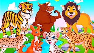 Naughty Farm Animals Moments: lion, tiger, kangaroo, lnyx cat, leopard, bull, #animals