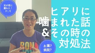 ヒアリに噛まれた話＆その時の対処法【体験談】