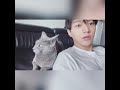 infinite l kim myungsoo with his cat byul