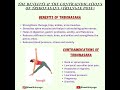 the benefits u0026 the contraindications of trikonasana yoga health meditation motivation yogapose