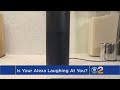 Alexa Is Laughing At You