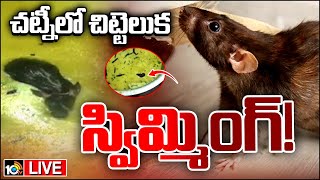 LIVE: Rat Found In Canteen Food at JNTU |జేఎన్టీయూ ఇంజినీరింగ్ కాలేజ్‌క్యాంపస్‌ సిబ్బంది నిర్లక్ష్యం