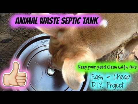 DIY Dog Septic Tank DIY Dog Septic Tank