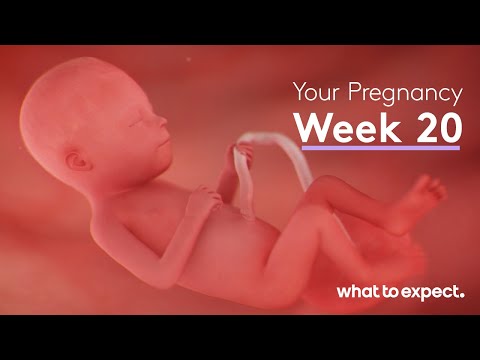 How do I know my baby is OK at 20 weeks?