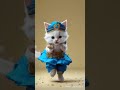 meow sic time adorable kitten dancing to the beat