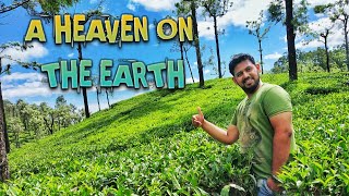 Valparai : A Heaven on the earth