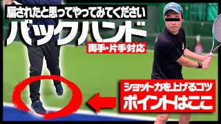 【騙されたと思ってやってみてください】ショット力を爆上げするコツは意外なポイントだった！バックハンド〈ぬいさんぽテニス（Tennis）〉