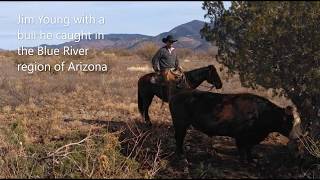 Maverick Cow Catchers