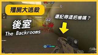 【Rinkoy】CSO 殭屍大逃殺 後室 The Backrooms！｜還原度很高！一不小心就迷路！！