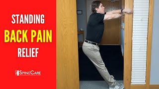 Best Standing Lower Back Pain Relief Exercises