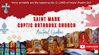 STMARKCOCMTL  The Theophany Vespers, Laqqan Prayers \u0026 Liturgy |  Friday January 19th, 2024