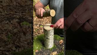 Survival Skills: Incredible Knife Lifehack for Extreme Condition. #survival #cam