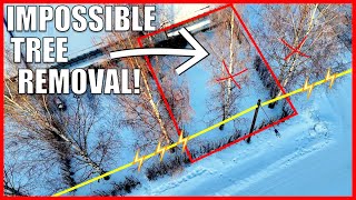 How to Remove Trees That Seem Impossible!