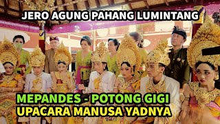 Karya Manusa Yadnya Mepandes (Potong Gigi) - Jero Agung Pahang Lumintang - Upacara Adat Bali