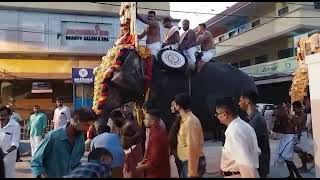 Feeding Elephant 🐘 Our lovely Prasad. Kannur Talap Temple Aarat.