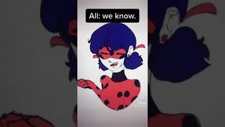 Chat Noir loves bags⁉️ | MIRACULOUS LADYBUG | Animatic/skit