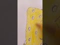 Drawing SpongeBob In Real slim #its_Caca #Ncha_Delica