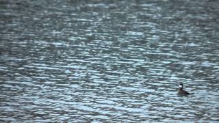 Great Lakes. Great Impact. The story of the Ashtabula River