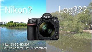 니콘 D850 로그 촬영이 될까요? (Nikon D850 Picture Control as log profile) vs SONY a6500 비교