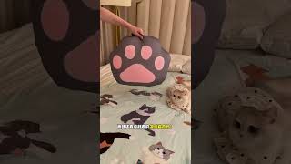 【#薄荷猫猫甜不甜】小猫藏在猫猫毯子里怎么也没找到!看了监控后我感觉自己像个傻子 #星巴克乘凉节 #星巴克周边    #星巴克千猫毯 #星巴克猫爪枕