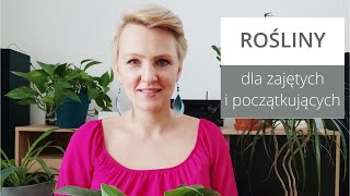 Rośliny dla początkujących i zajętych