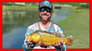 PEACOCK BASS FISHING West Palm Beach Florida. Catching my PB Peacock & The Palm Beach Slam!!!